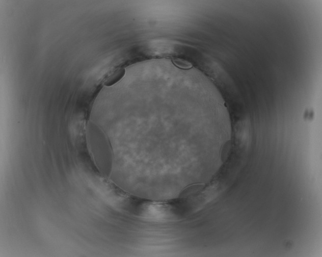 X0000111150372200906301343