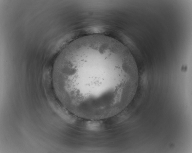 X0000111150373200906301343
