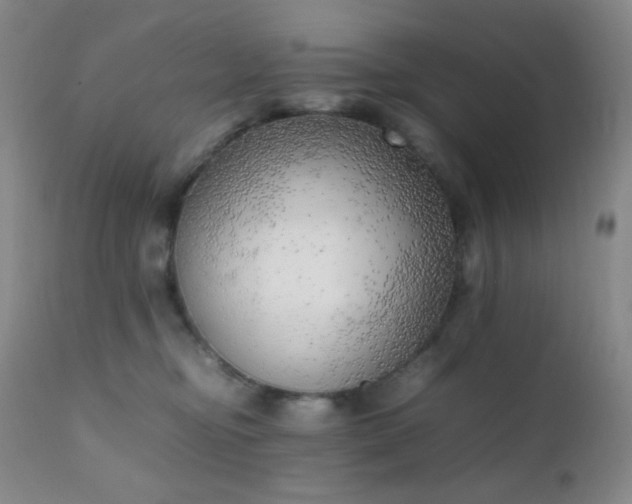 X0000111150374200906301343