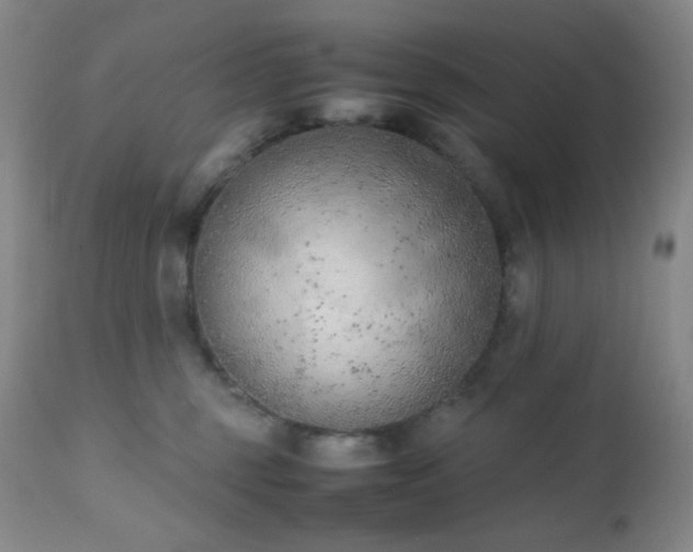 X0000111150375200906301343
