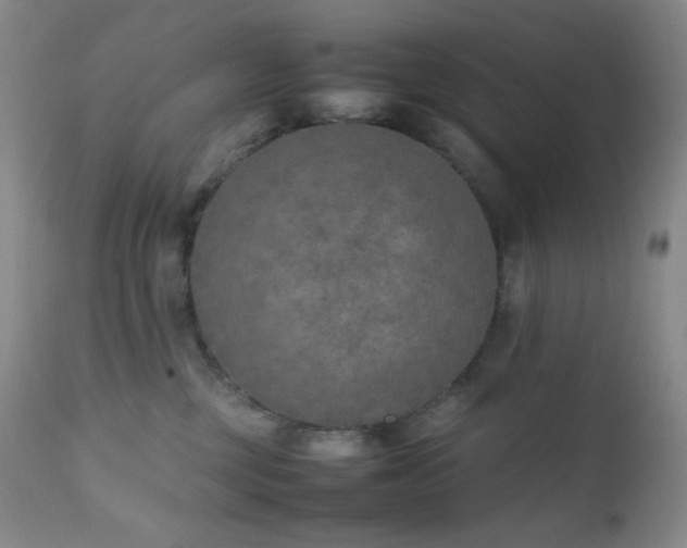 X0000111150377200906301343