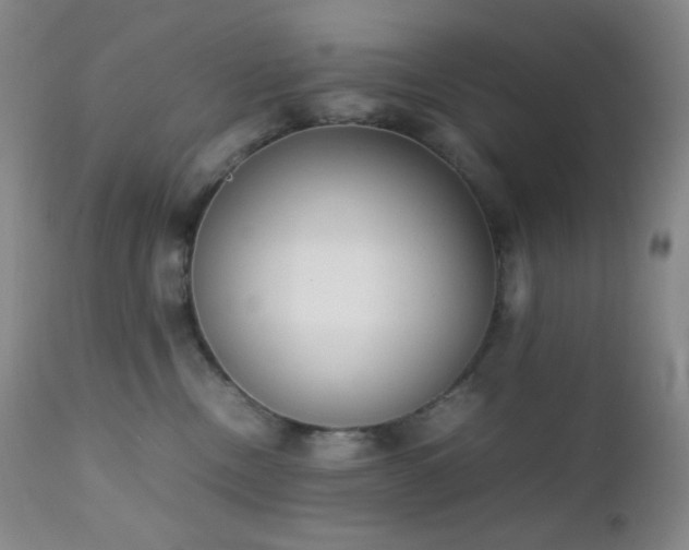 X0000111150378200906301343