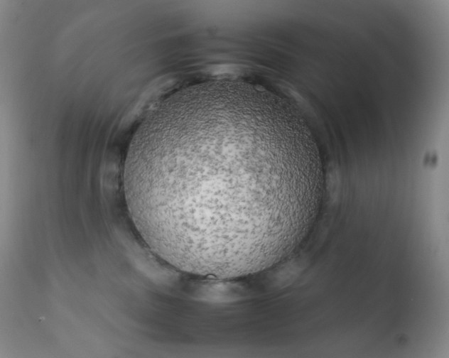 X0000111150379200906301343