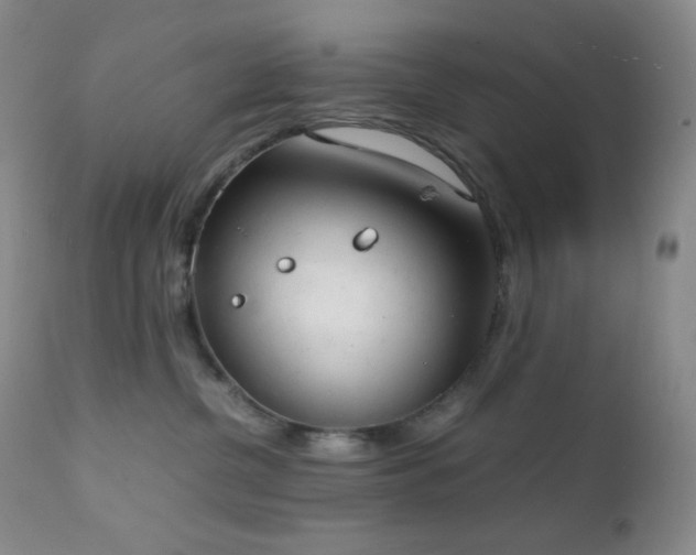 X0000111150380200906301343