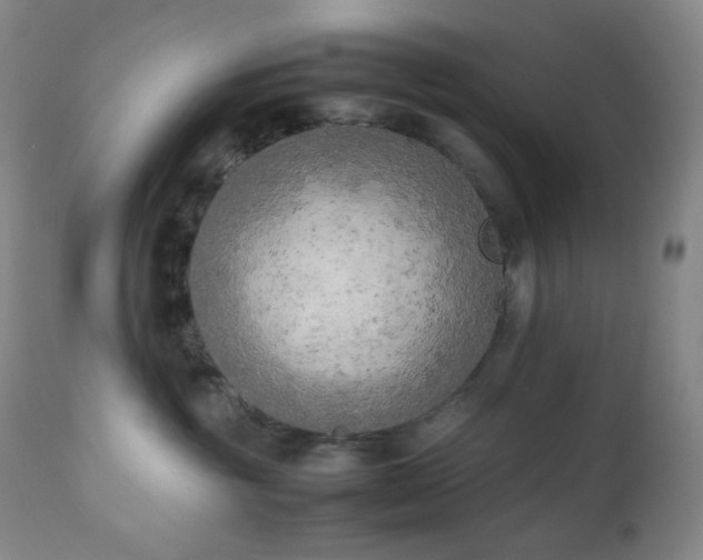 X0000111150381200906301343