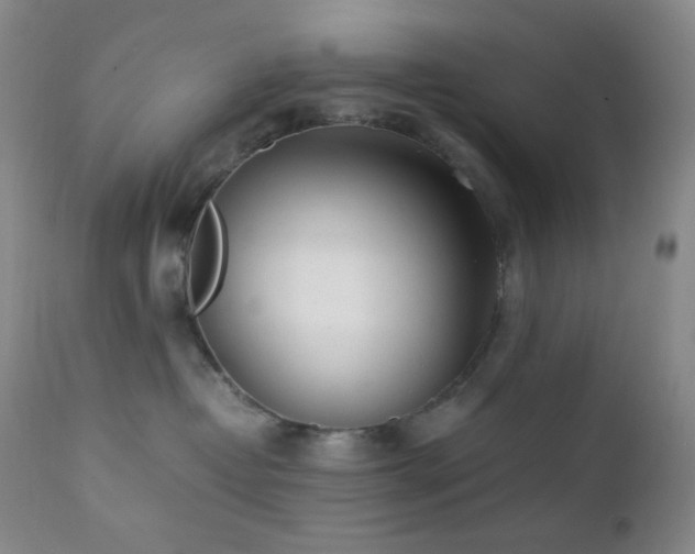 X0000111150382200906301343