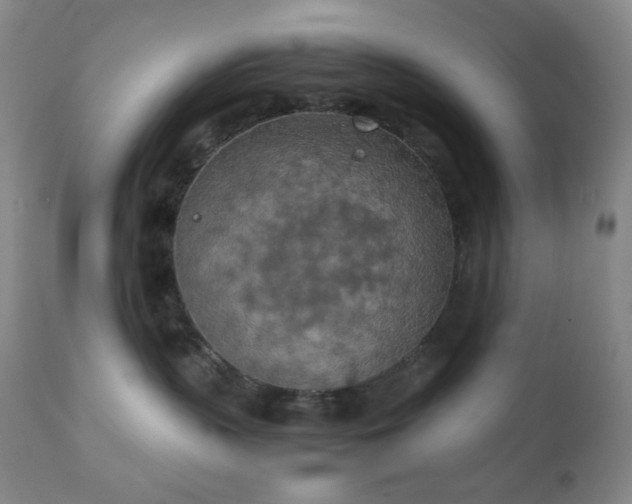 X0000111150383200906301343