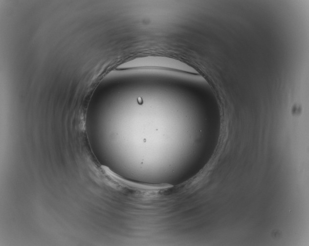 X0000111150384200906301343