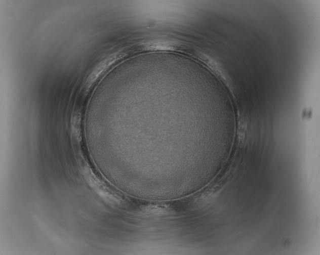 X0000111150386200906301342