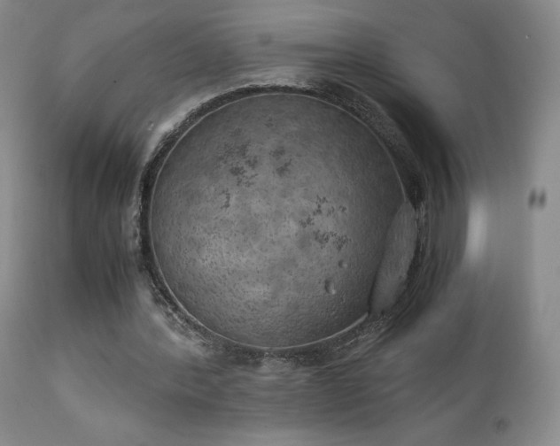 X0000111150388200906301342