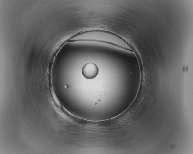 X0000111150389200906301342
