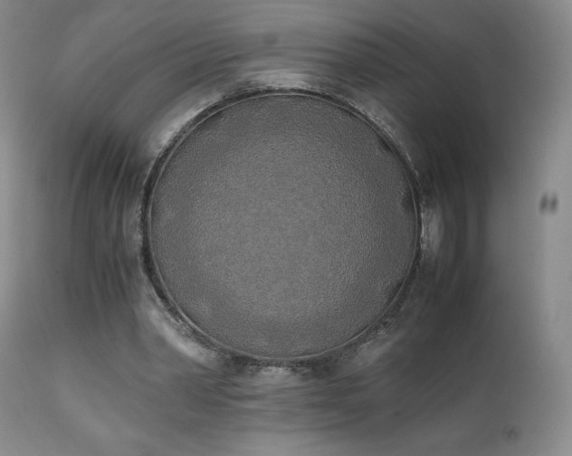 X0000111150390200906301342