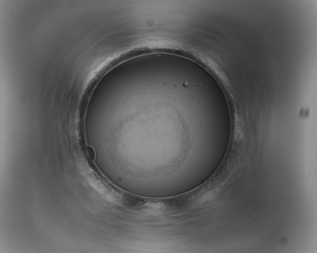 X0000111150391200906301342