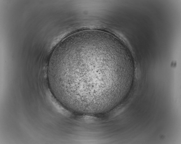 X0000111150393200906301342