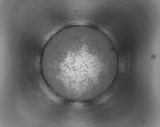 X0000111150394200906301342