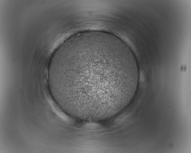 X0000111150397200906301342