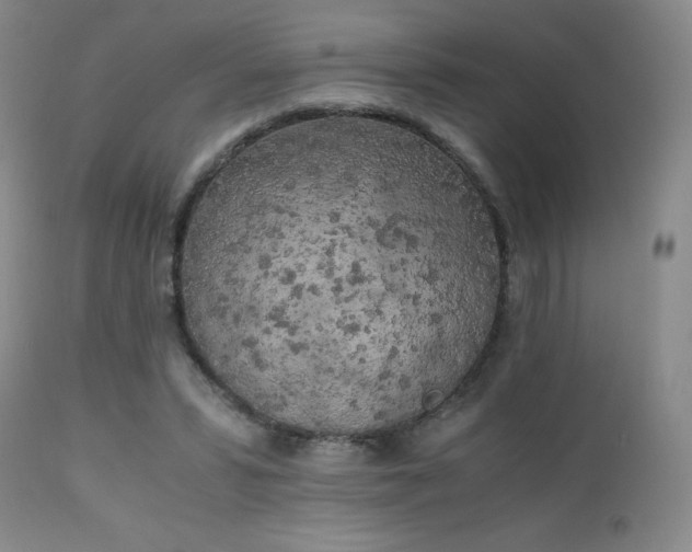 X0000111150399200906301342