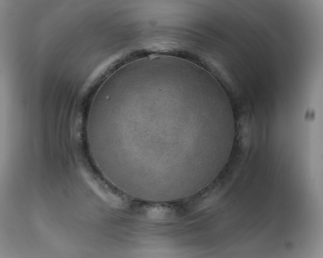 X0000111150400200906301342