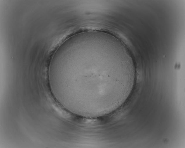 X0000111150401200906301342