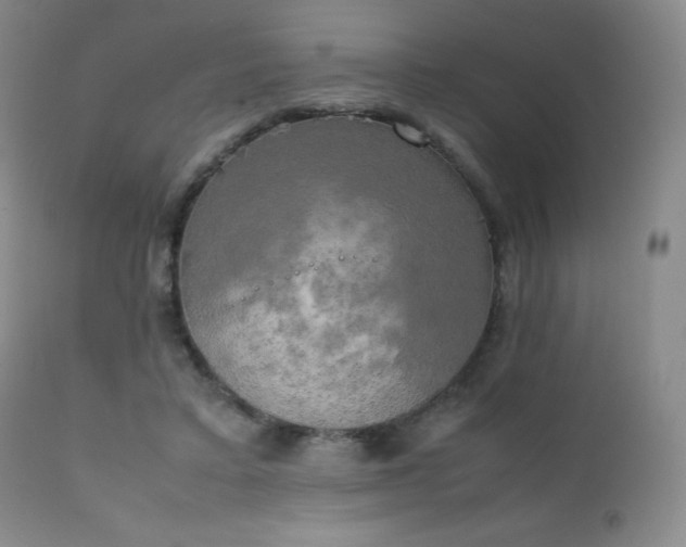 X0000111150403200906301342