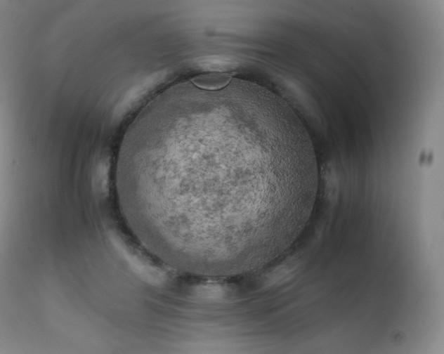 X0000111150404200906301342