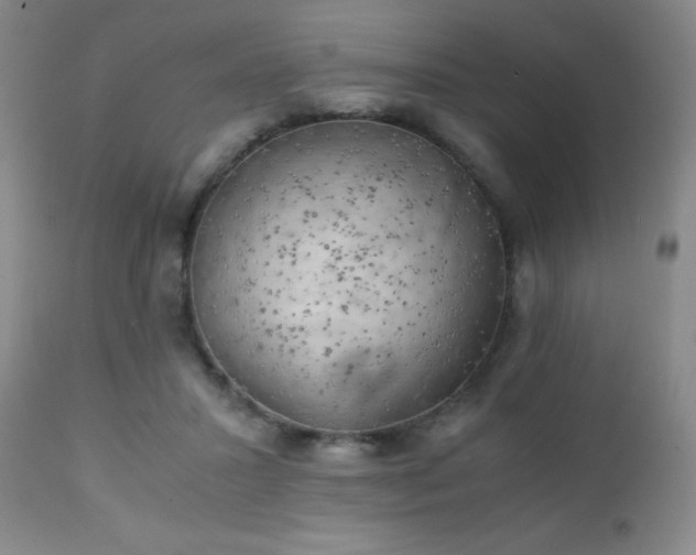 X0000111150407200906301342