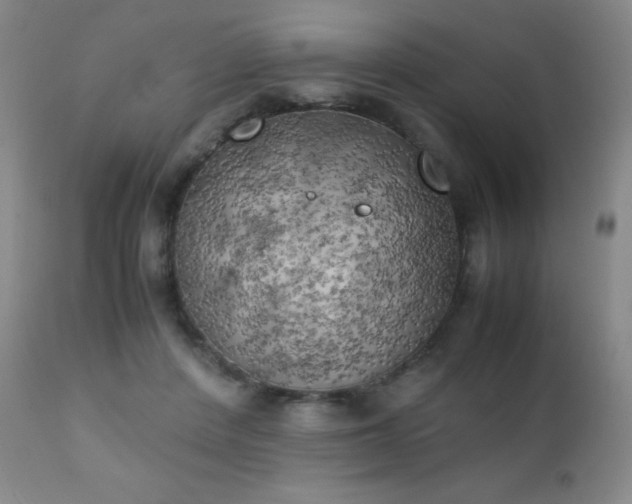 X0000111150408200906301342