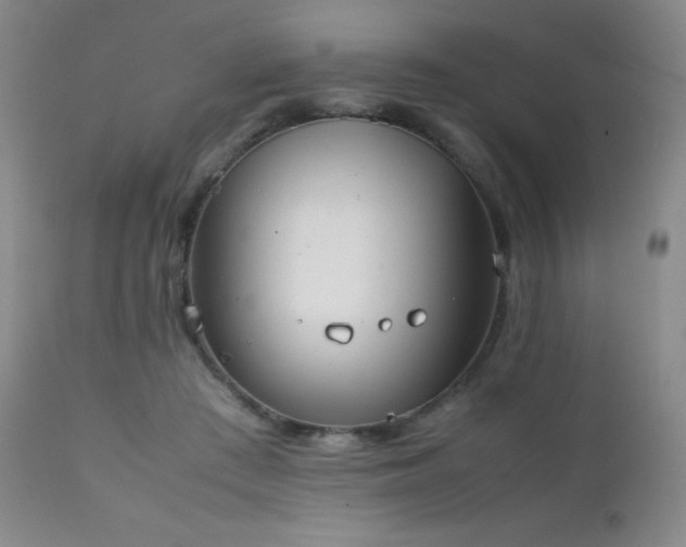 X0000111150409200906301342