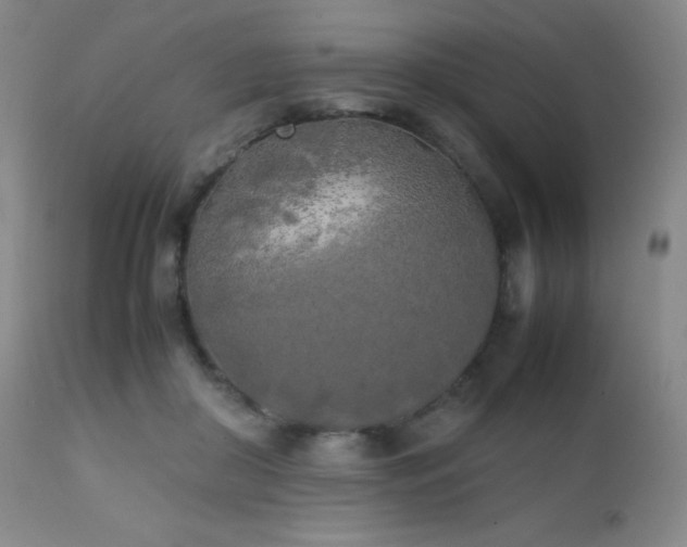 X0000111150410200906301342