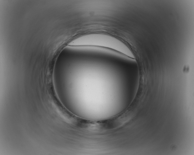 X0000111150411200906301342