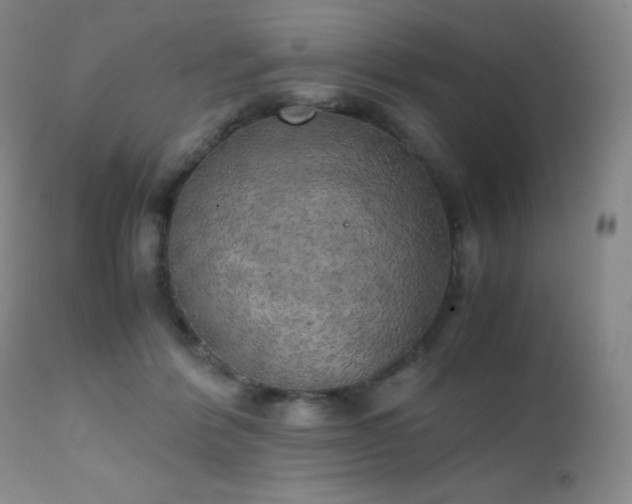 X0000111150412200906301342