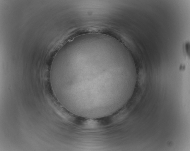 X0000111150413200906301342