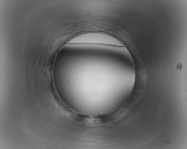 X0000111150415200906301342