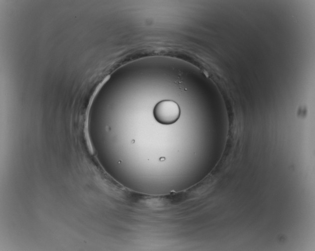 X0000111150417200906301342