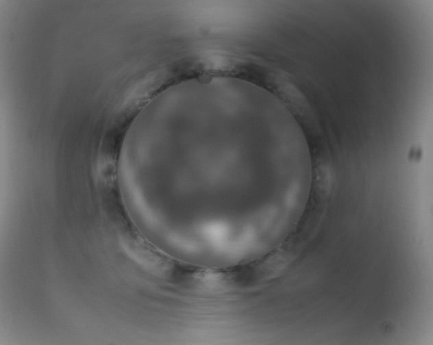 X0000111150419200906301342