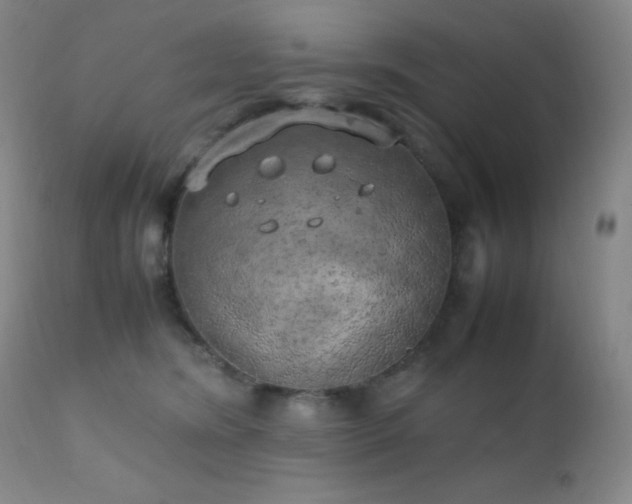 X0000111150420200906301342