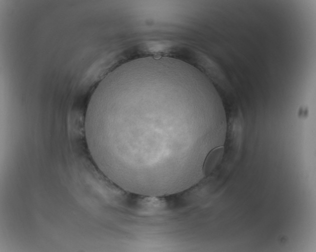 X0000111150421200906301342