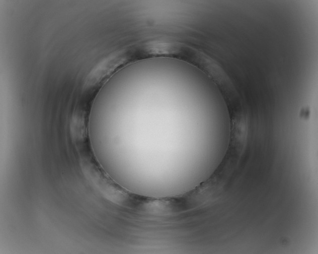 X0000111150422200906301342