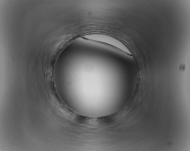 X0000111150423200906301342