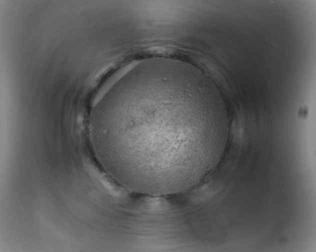 X0000111150424200906301342