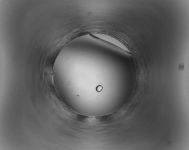 X0000111150425200906301342
