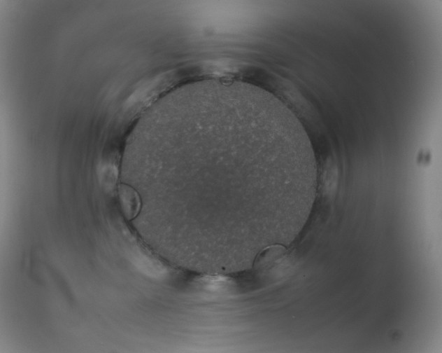 X0000111150427200906301342