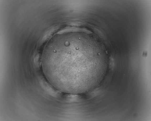 X0000111150428200906301341