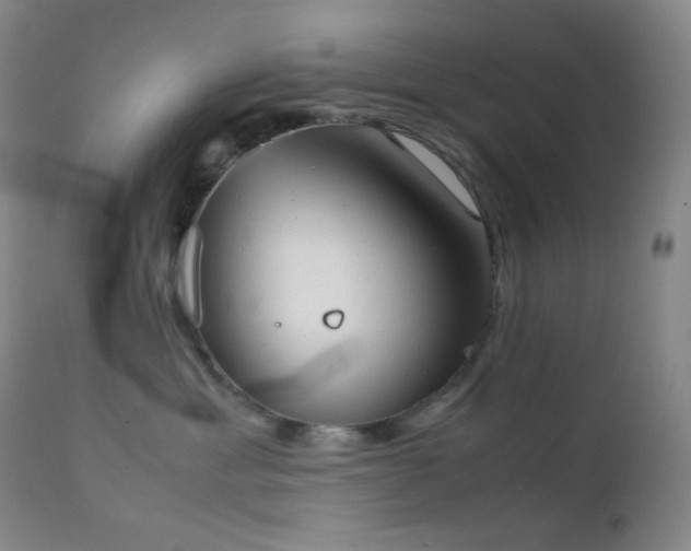 X0000111150429200906301341