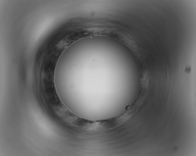 X0000111150430200906301341