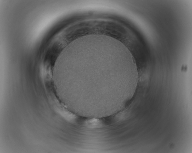 X0000111150431200906301341