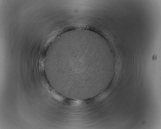 X0000111150432200906301341