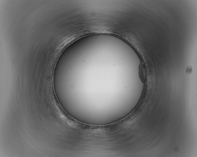 X0000111150433200906301341