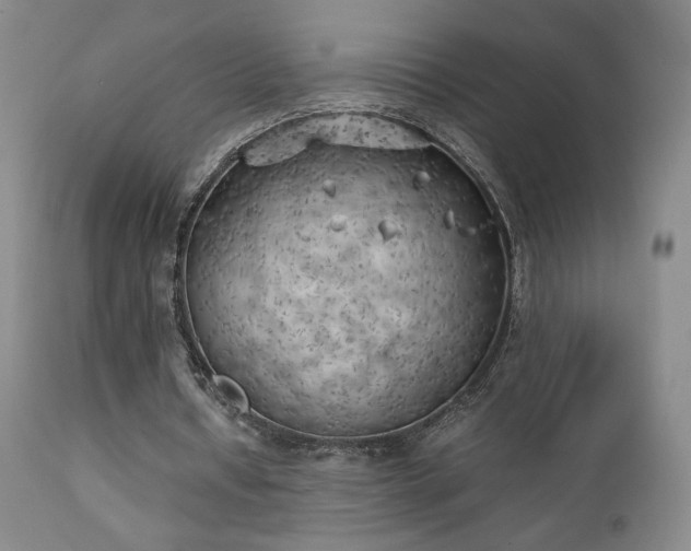 X0000111150434200906301341