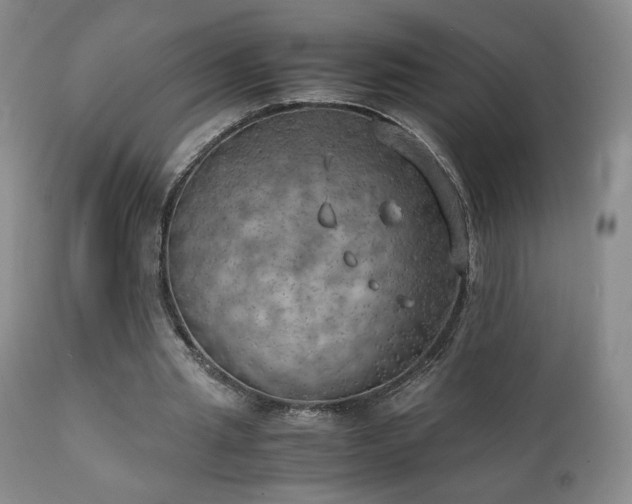 X0000111150437200906301341